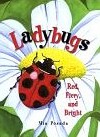 Ladybugs