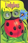 Peek-A-Boo Ladybug