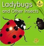Ladybugs & Other Insects