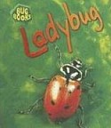Ladybug (Bug Book)