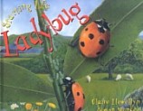 Starting Life: Ladybug