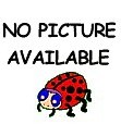 Fly Away Ladybug